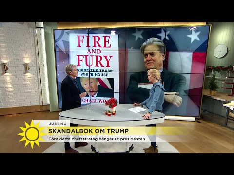 Rolf Porseryd: "Bannon var en nyckelperson - nu förminskas han" - Nyhetsmorgon (TV4)