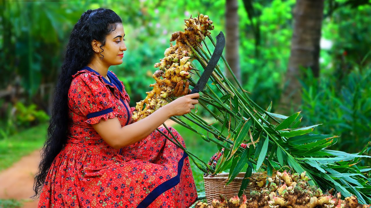 Ginger harvest! 🫚 I made ginger candy, grape juice & aromatic chicken masala for dinner!