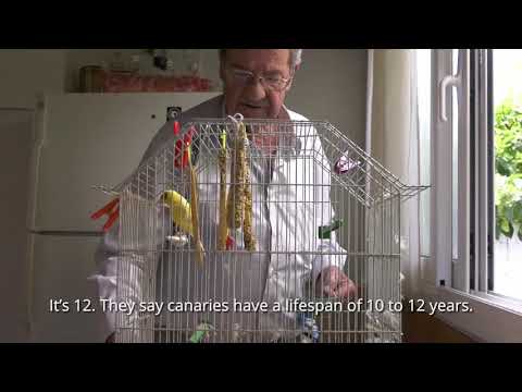 9+1 μοναξιές του πατέρα trailer