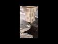 Video abspielen