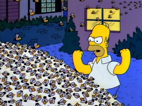 Homer, latifundista azucarero.avi