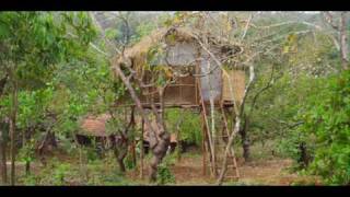 preview picture of video 'India Goa Agonda Kaama Kethna Farms India Hotels India Travel Ecotourism Travel To Care'