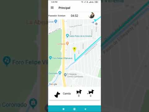 CaminanDog paseos para mascota video thumbnail
