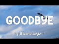 Goodbye - Jason Derulo (Feat. Nicki Minaj & Willy William) (Lyrics) 🎵