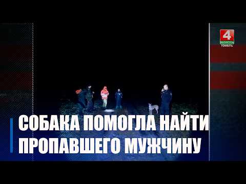 Судебные эксперты установили причину смерти мужчины, найденного в лесу под Мозырем
