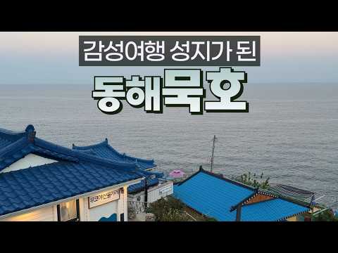 무호코: 감성 혼여행의 새로운 성지