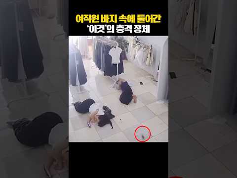 여직원 바지 속에 들어간 '이것'의 충격 정체