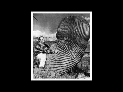 Roberto Piva lê - 16 - Terra elétrica