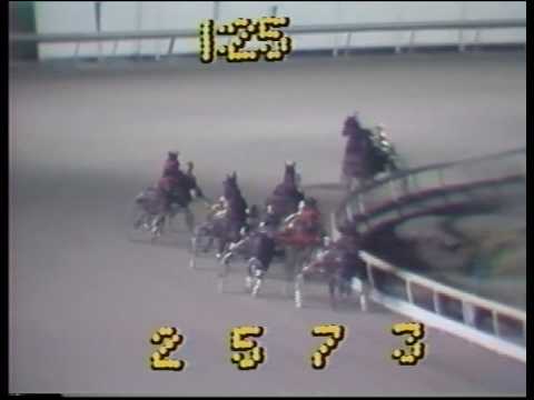 1982 World Cup - The Meadowlands