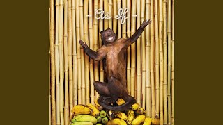 Lucy Mongoosey