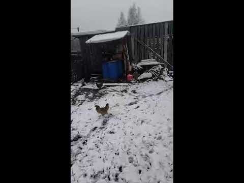 Мой персональный рехаб...89267004318