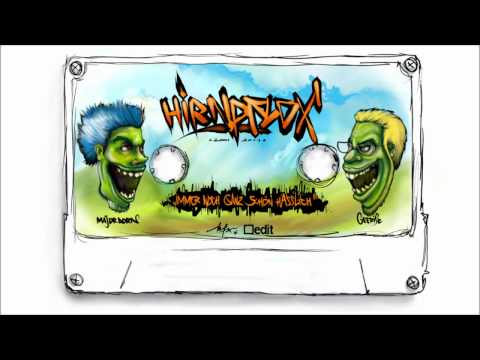 Hirnpflox - INGSH - 05 - Das Ausmaß