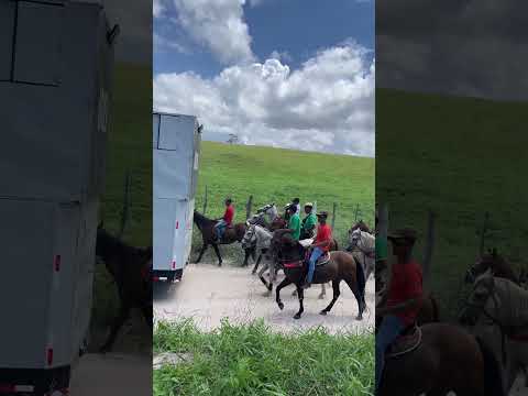 Lajedinho-Ba #cavalgada #vaquejada #sanfona #bahia