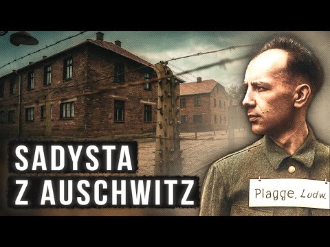 He never admitted guilt. What crimes did Ludwig Plagge commit?