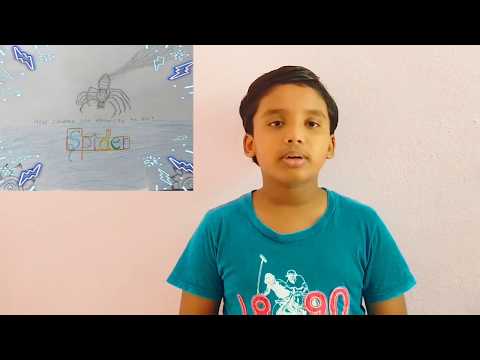 Spider's use electricity to fly ?