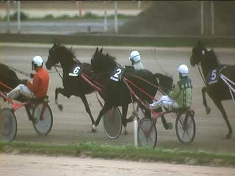 Trotto 02/11/2018 - 3ª corsa