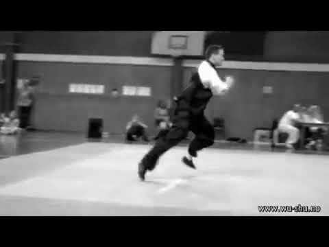 Czech Wushu Open 2009 by Kim Gibson