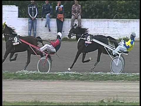 Trotto 01/12/2015 - 2° corsa