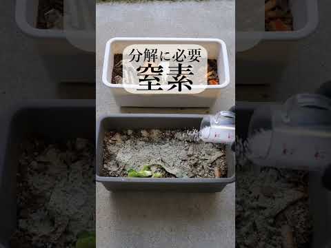 なぜ堆肥に灰を入れるのですか？潜在的な利点とリスク  庭園