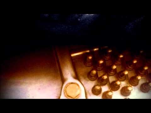 "Nel folto del bosco" di Pietro Cardarelli