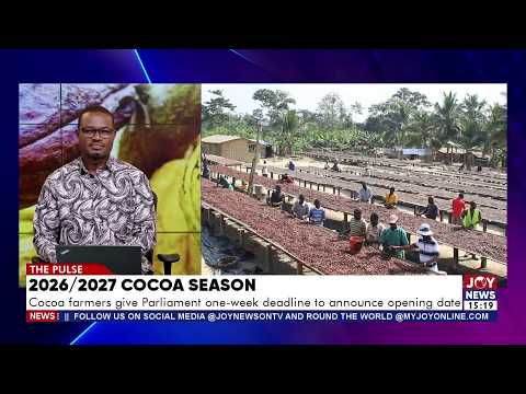 Cocoa farmers give Parliament one-week deadline to announce opening date | The Pulse (21-9-26)