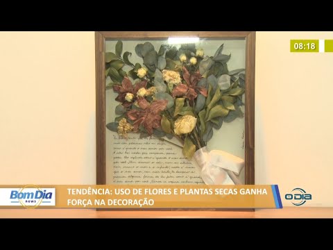 Uso de flores e plantas secas ganha força e vira tendeÌ‚ncia na decoração 06 09 2021