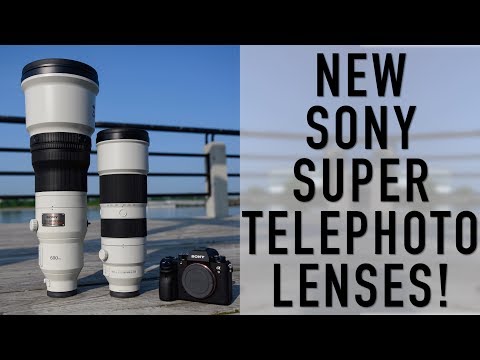 External Review Video nEC15HWlrBQ for Sony FE 200-600mm F5.6-6.3 G OSS Full-Frame Lens (2019)