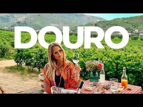 Discover the best of Douro: wineries, restaurants and unmissable tours in Portugal