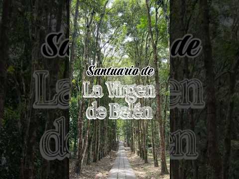 Camino al Santuario #salazardelaspalmas #nortedesantander #colombia