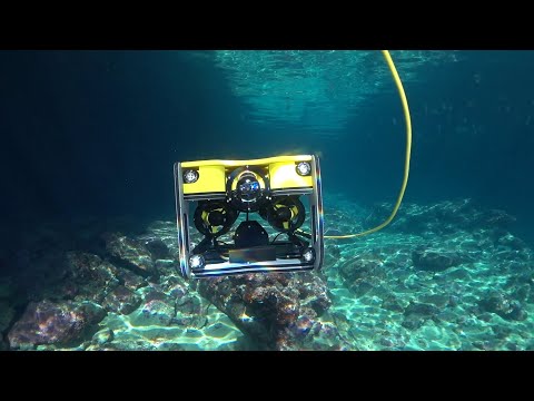 youtube video image