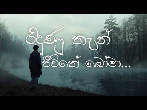 රිදුණු තැන් | Ridunu Than Jeewithe Boma | AI Cover
