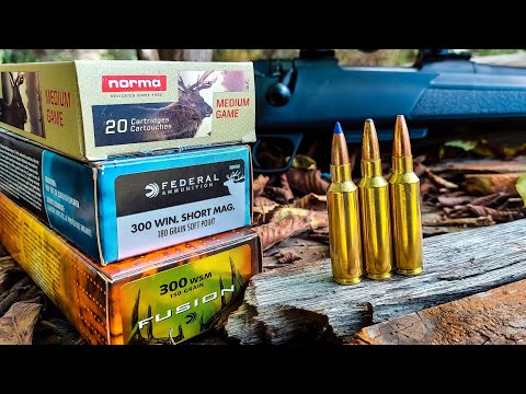 Rifle Cartridge Review: 300 Winchester Short Magnum