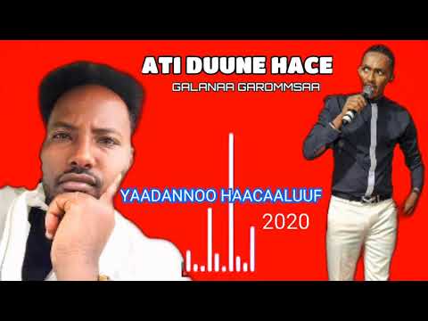 Gaalanaa Gaaromsaa wallee Haraa Haacaaluuf weellisee Ati Duune Hacee yaadannoo Haacaaluu 2020