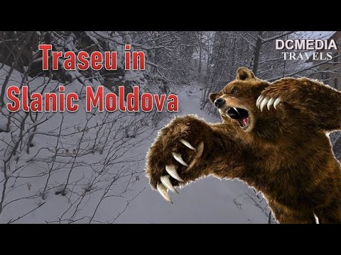 Bear Trail | Slanic Moldova | Where we started and where we ended up