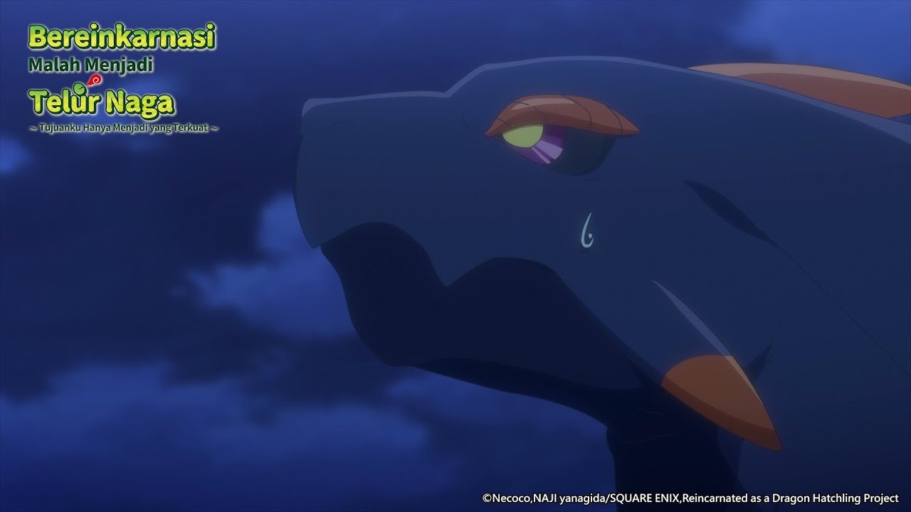 #telurnaga #dragontama #highlight bersatu kita teguh!