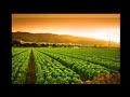 Pachai Kiligal Tholodu Whatsapp Status Indian Tamil Movie Song