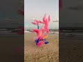 Visual Artist Thomas Jackson Speaks About His Work