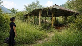 Girl Leaves City Company Into Forest To Restore Abandoned Old House | Unbelievable Transformation! MQDEFAULT Thumbnail