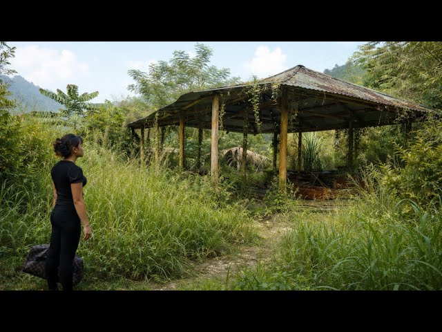 Girl Leaves City Company Into Forest To Restore Abandoned Old House | Unbelievable Transformation! SDDEFAULT Thumbnail