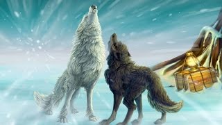 Big Wolf - Shoh Shum