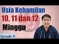 USIA KEHAMILAN 10 11 DAN 12 MINGGU Eps 4 TANYAKAN DOKTER