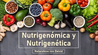 ✔ Qué no comer sgún tu ADN: Nutrigenética y Nutrigenómica.🍕🍏