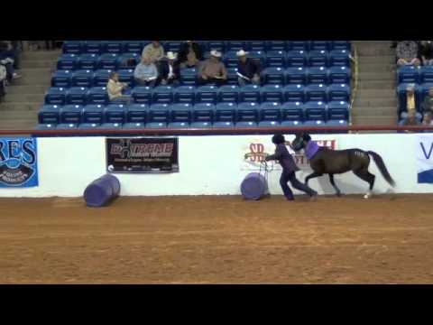 2012 Supreme Extreme Mustang Makeover Stars Finals