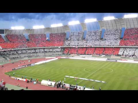 Bari-Novara :coreografia ultima giornata 2013 14