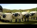 Shaun The Sheep 2007 Off The Baa DVD Preview