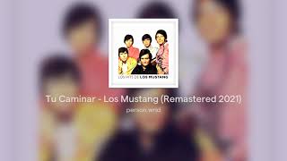 Kadr z teledysku Tu Caminar tekst piosenki Los Mustang