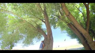 Mem ARARAT - Şengebiyê
