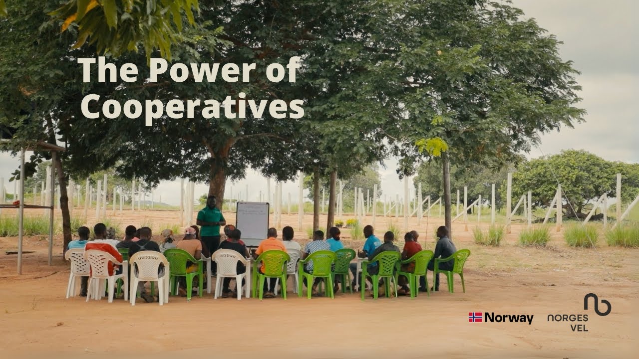 Stronger Together: How Cooperatives Empower Farmers