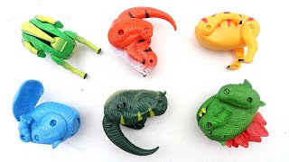 Download lagu Transforming Dino Eggs Toy Package - Tyrannosaurus, Triceratops, Stegosaurus | Best Dinosaur Toys mp3