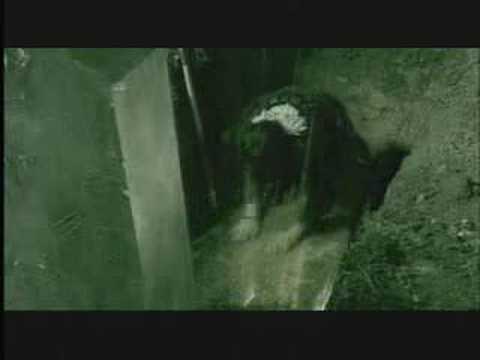 Neurosonic - "Are Solar" bodogMUSIC